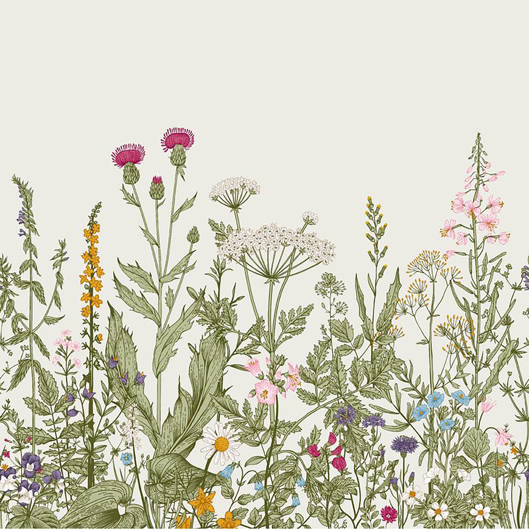 Colorful Floral Plants Tapestry Wall Tapestry Vintage Herbs  Etsy