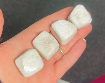 Scoleciet tuimelen, getrommeld scoleciet, verbinding maken met hogere zelf, intuïtie versterken, stilte, vrede, kruinchakra, hartchakra