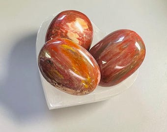 Versteend hout Vrije vorm palmstenen, rode toevoeging Versteend hout, aarding, bescherming, voorouderlijke wijsheid, oude wijsheid, aardse energie