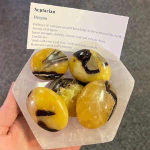 Puede incluir: Un conjunto de piedras Septarian Dragon, con patrones amarillos, marrones y negros. Las piedras se exhiben en un plato hexagonal blanco. También hay una tarjeta con el texto "Septarian Dragon" e información relacionada.