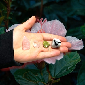 May include: A hand holding four polished gemstones: a pink rose quartz, a clear quartz, a green stone, and a black and white stone. The background features a pink flower and green foliage.