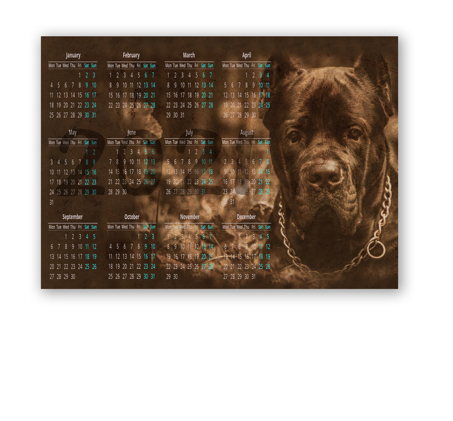 2021 Cane Corso Wall Calendar Etsy