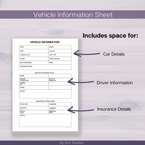 May include: A white Vehicle Information Sheet with black text and lines. It features sections for Vehicle Information, Driver Information, and Insurance Provider. Arrows point to these areas with labels: Car Details, Driver Information, and Insurance Details.