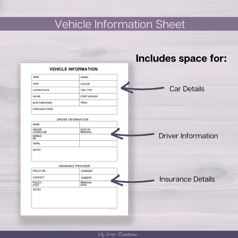 May include: A white Vehicle Information Sheet with black text and lines. It features sections for Vehicle Information, Driver Information, and Insurance Provider. Arrows point to these areas with labels: Car Details, Driver Information, and Insurance Details.