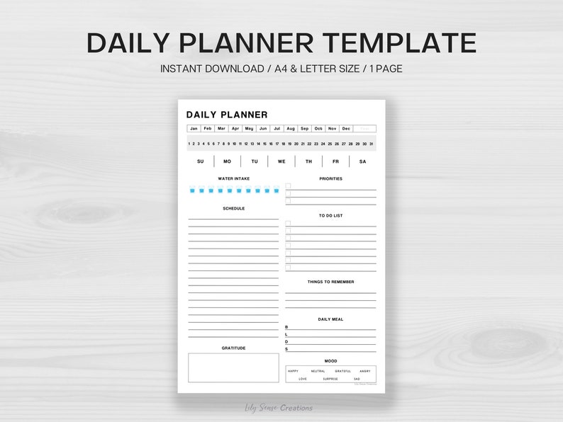 Daily Planner Printable Template Day Planner Printable Daily - Etsy