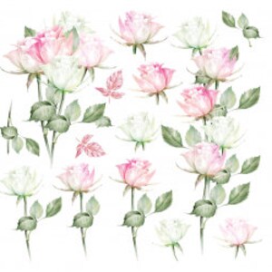 May include: A collection of digital illustrations featuring pink and white rose outlines, detailed watercolour rose buds and stems with green leaves, and a circular floral wreath containing a pink cockatoo, a bee, and two butterflies.