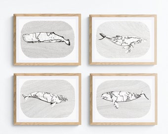 printing of decorative illustrations Quadriptyque whales in black and white