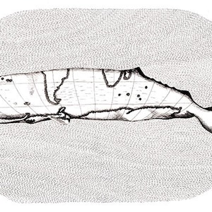 Printing of an illustration sperm whale home decoration