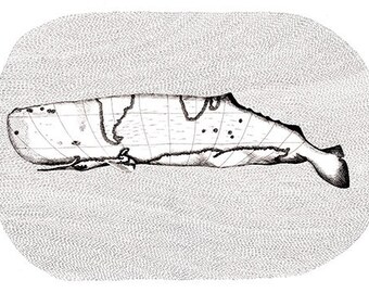 Afdrukken van een illustratie potvis huisdecoratie