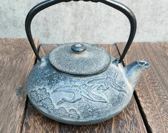 Nambu ironware iron kettle Kyusu Japanese teapot made in Japan