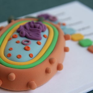 May include: A colorful, handmade model of a cell, featuring a light blue interior with orange dots, surrounded by layers of yellow, green, and orange. The model has a brown exterior with small, round protrusions. A purple structure is at the top.