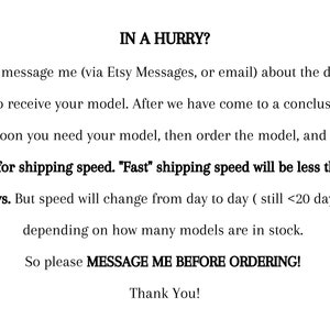 May include: White text on a white background. The text reads "IN A HURRY?" followed by instructions to message the seller about shipping speed before ordering. The text also mentions "Fast" shipping speed will be less than 20 days.