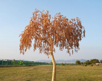Benutzerdefinierte Luxus-Gold-künstlicher Baum 10 Ft Blatt künstlicher Baum für Foto Backdrop Weihnachtsfest-Dekor Shopping-Mall-Dekor Gartendekor