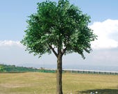 Articolo da questo negozio