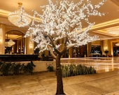 Articolo da questo negozio