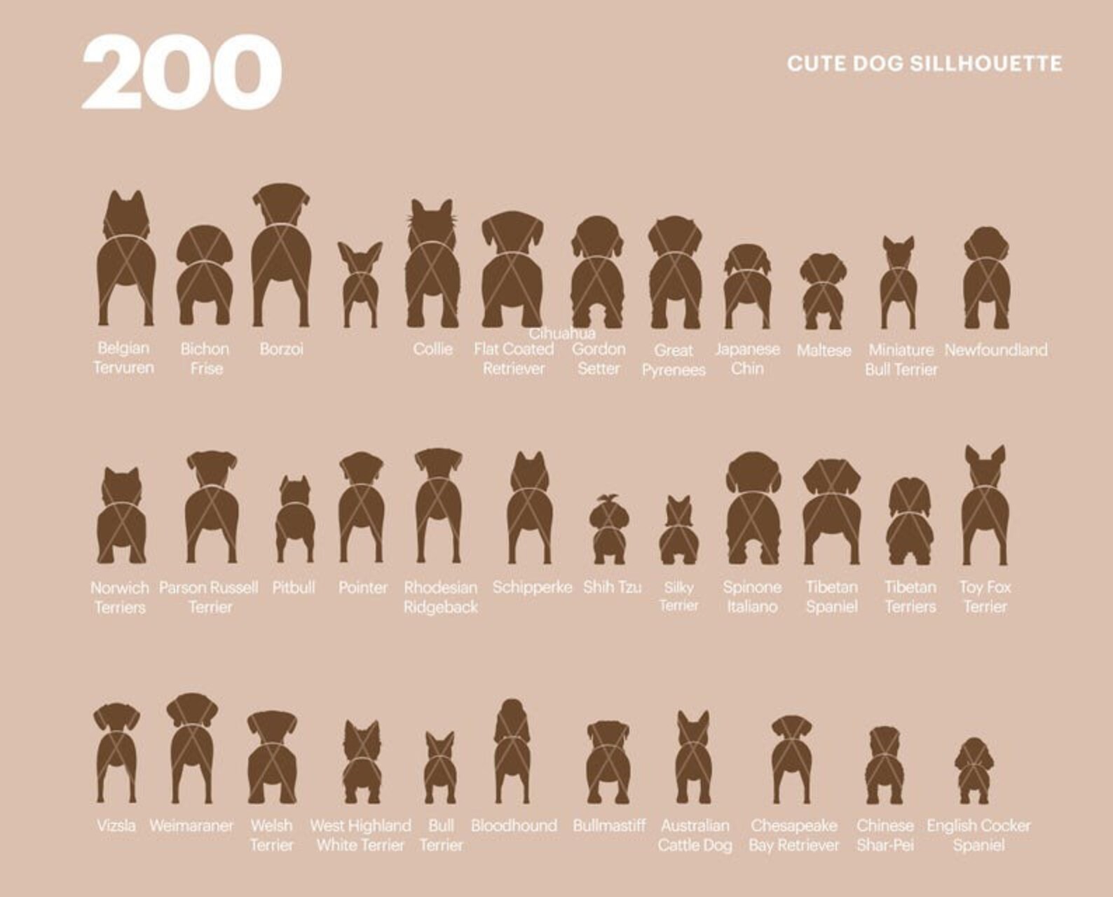 Custom Shiplap Dog Leash Holder Two Dogs Personalized Leash Etsy