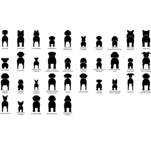May include: Black and white silhouette illustrations of various dog breeds viewed from behind. The dog breeds are labeled with their names.