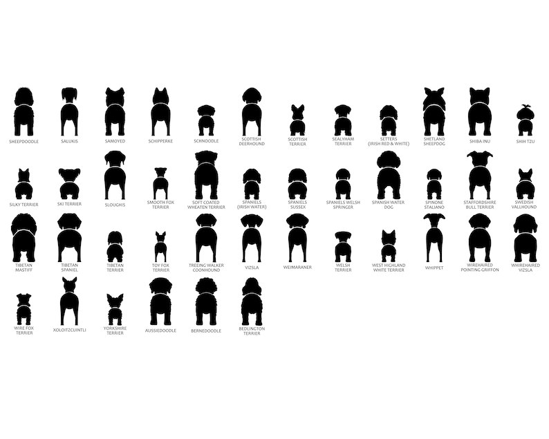 May include: Black and white silhouette illustrations of various dog breeds viewed from behind. The dog breeds are labeled with their names.