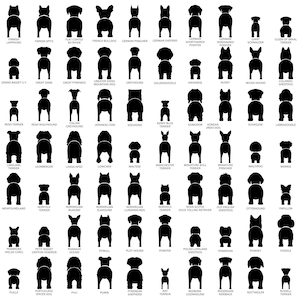May include: Black and white silhouette illustrations of various dog breeds viewed from behind. Each breed is labeled with its name.