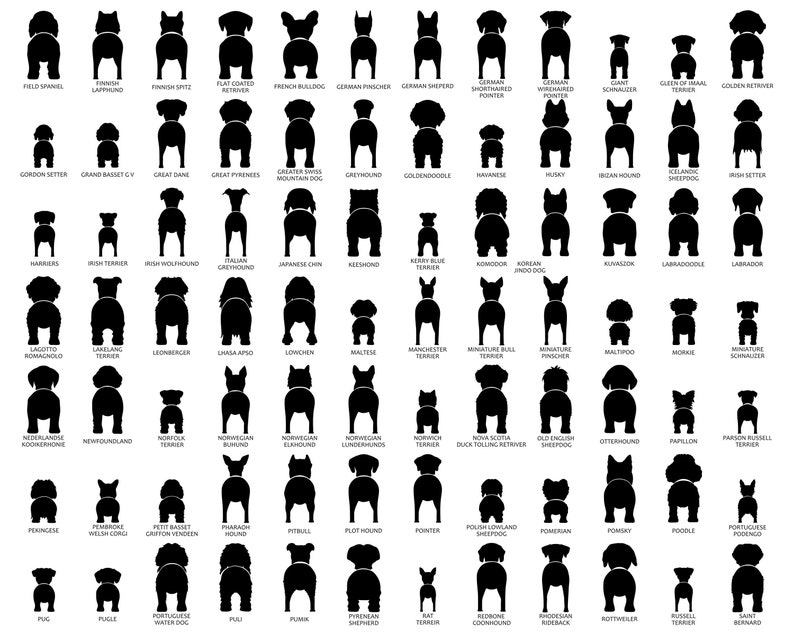 May include: Black and white silhouette illustrations of various dog breeds viewed from behind. Each breed is labeled with its name.