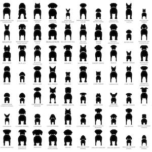 May include: Black and white silhouette illustrations of various dog breeds viewed from behind. The dog breeds are labeled with their names.