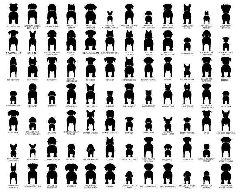May include: Black and white silhouette illustrations of various dog breeds viewed from behind. The dog breeds are labeled with their names.