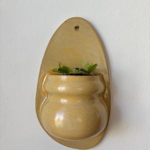 Op de afbeelding: Een goudkleurige, aan de muur gemonteerde plantenbak met een afgeronde, organische vorm. De plantenbak bevat een kleine groene plant. De plantenbak heeft een gat aan de bovenkant om op te hangen. De achtergrond is een witte muur.