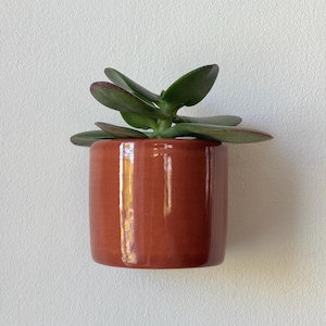 Pode incluir: Um pequeno vaso cilíndrico de cerâmica cor de terracota com uma planta suculenta. A planta tem folhas verdes espessas com bordas avermelhadas. O vaso é liso e brilhante, e o fundo é uma parede branca lisa.