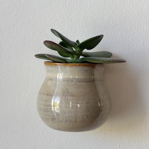 Puede incluir: Una pequeña maceta de cerámica beige para colgar en la pared con una planta suculenta. La maceta tiene forma redondeada con un borde ligeramente ensanchado y una superficie moteada y texturizada. La suculenta tiene hojas de color verde oscuro con bordes rojizos.