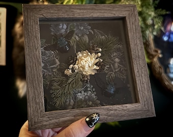 Real Blue Carpenter Bee Specimens Gothic Entomology Framed, Woodland Cottage Core Art Handcrafted Bee Entomology Insect Wall Decor Art