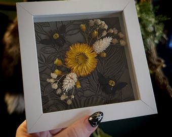 Real Yellow Carpenter Bees with Dried Florals Handcrafted Collectors Entomology Framed, Gothic Cottagecore Bee Specimen Entomology Art