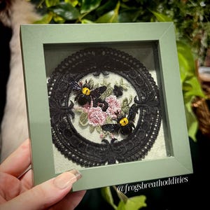 Real Carpenter Bee Specimens Gothic Entomology Framed, Two Yellow-Headed Bee Specimen Art Pink Floral Embroidery Handcrafted Bee Entomology
