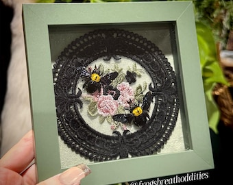 Real Carpenter Bee Specimens Gothic Entomology Framed, Two Yellow-Headed Bee Specimen Art Pink Floral Embroidery Handcrafted Bee Entomology