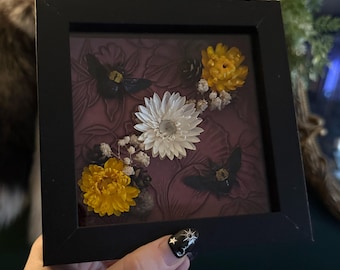 Real Yellow Carpenter Bee Specimens Gothic Entomology Framed, Two Yellow Bee Specimen Art Maroon Floral Handcrafted Bee Entomology