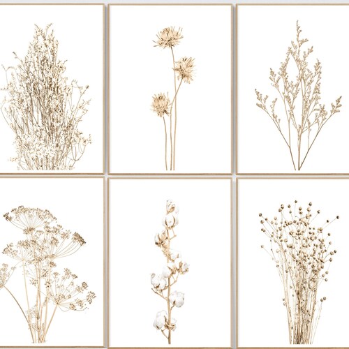 Botanical Print Set of 6 Farmhouse Print Printable Art - Etsy