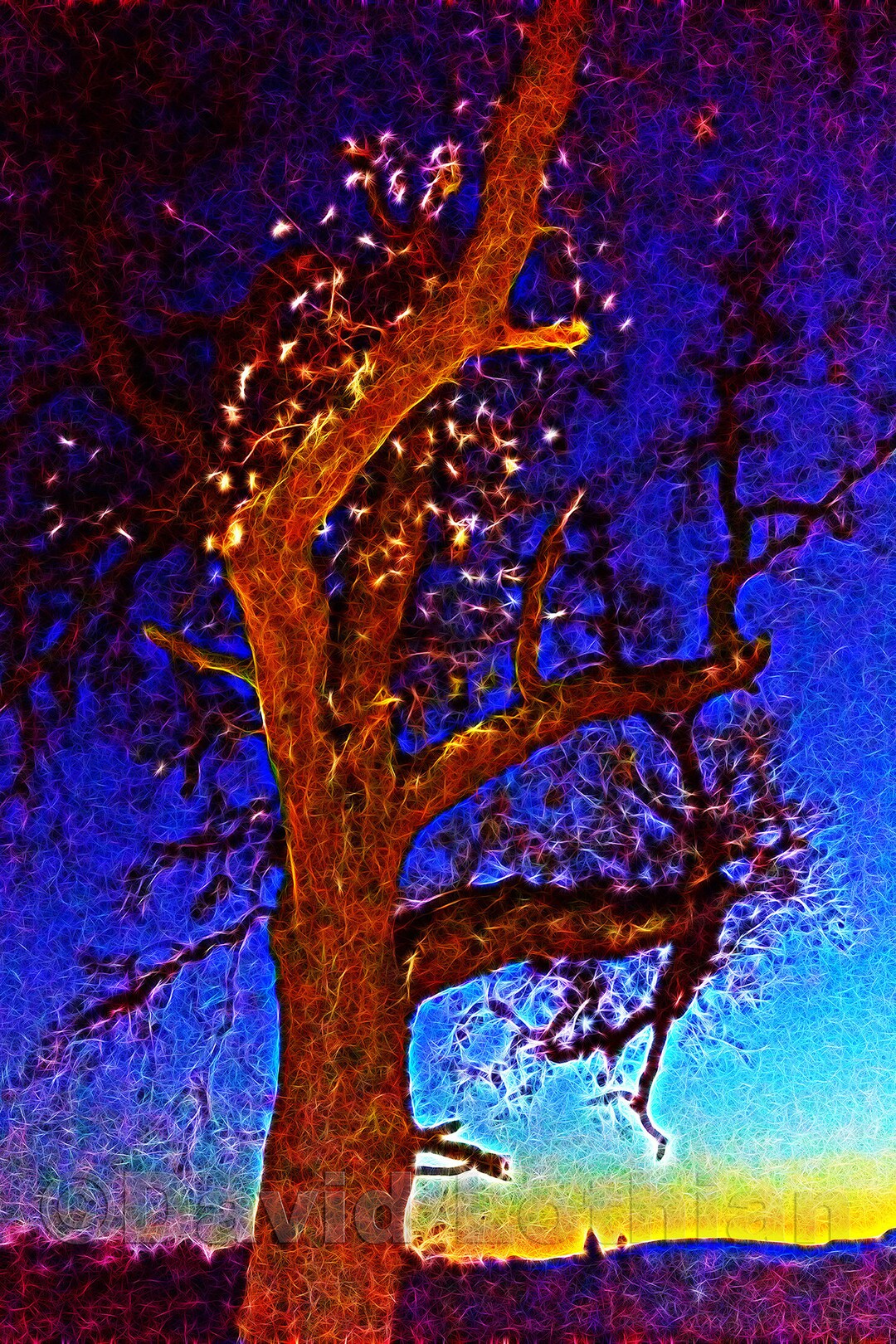 Nigth Tree Night Tree - Etsy