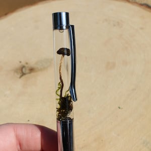 May include: A clear pen with a silver clip and accents. The pen's barrel contains a preserved mushroom and moss. The pen is set against a light brown, wood-grain background.