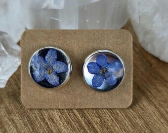 Real Forget-Me-Not Stud Earrings | Stainless Steel Silver Setting | Botanical Memorial Jewelry