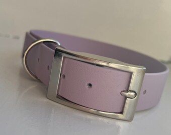 daisy duck dog collar
