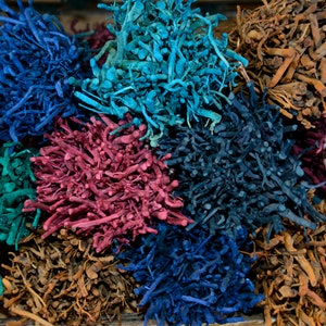 May include: A collection of dried, dyed plant material in various colours, including blue, teal, red, and brown. The material is arranged in a pile, with the different colours creating a visually appealing contrast.