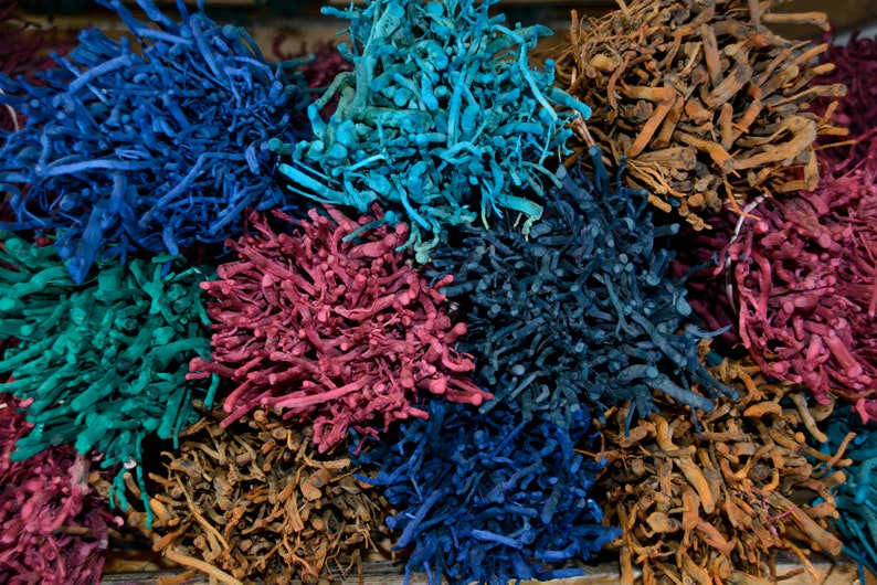 May include: A collection of dried, dyed plant material in various colours, including blue, teal, red, and brown. The material is arranged in a pile, with the different colours creating a visually appealing contrast.