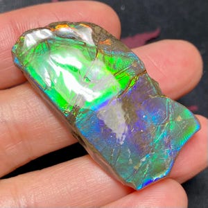 May include: A polished piece of iridescent ammolite gemstone featuring a vibrant spectrum of green, blue, and orange colors. The surface displays a natural cracked texture with a high-gloss finish, reflecting light across its irregular shape.