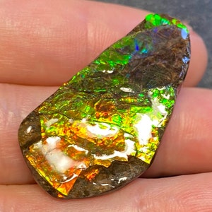 Canadian Ammonite Freeform Natural Gemstone 37X20 mm #2555-469