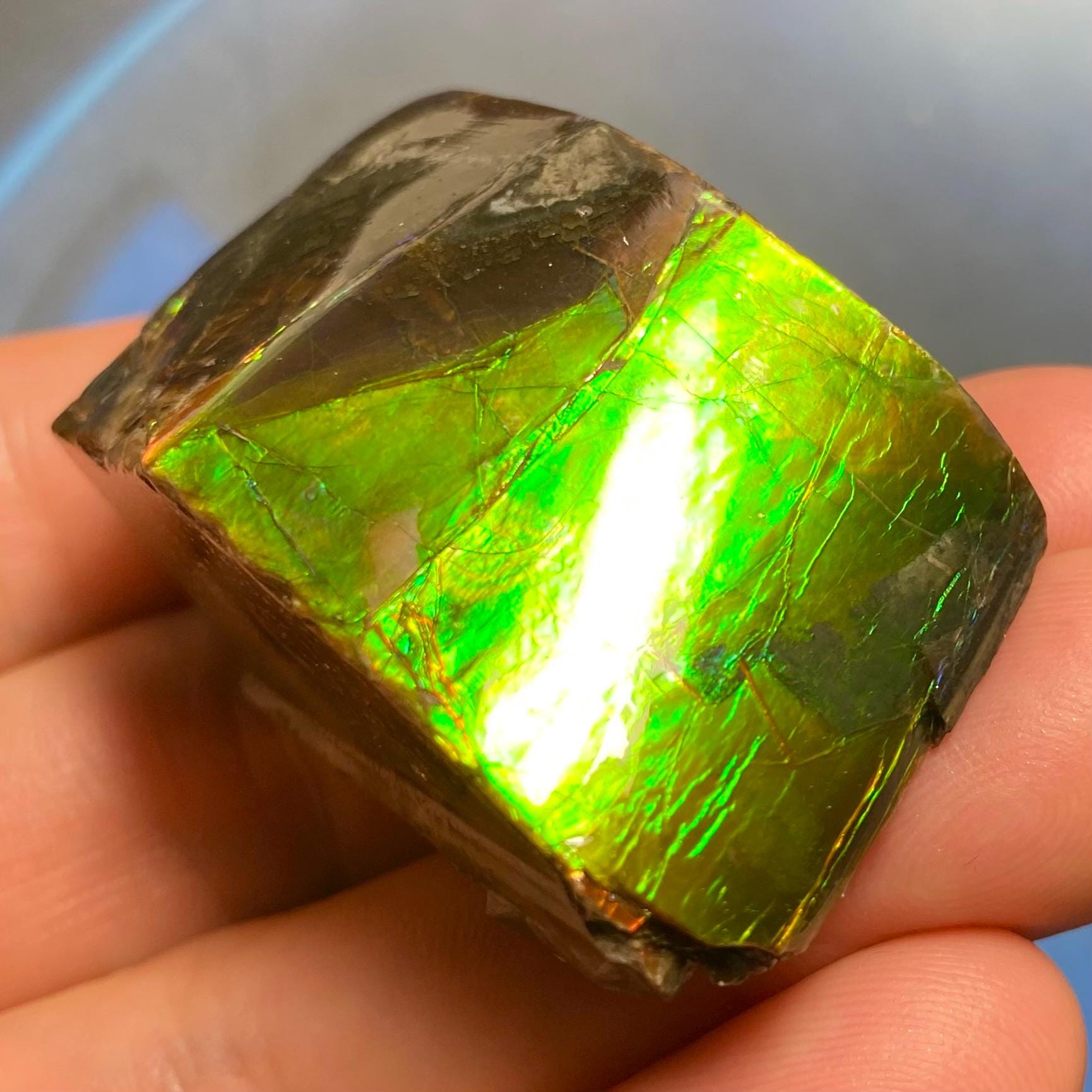 アンモライト宝石 – 天然カナダ産化石宝石 カナダ産アンモナイト自由形