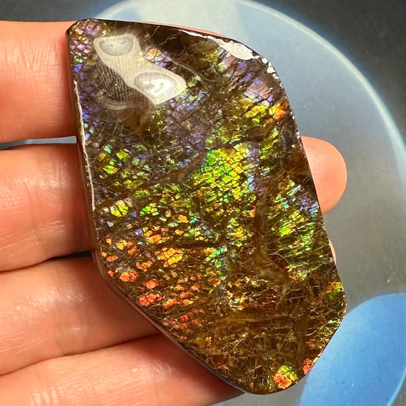 カナダ産アンモナイト アンモライト 天然宝石標本 67X38X8 MM 33