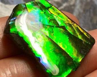 アンモライト宝石 – カナダ産天然化石宝石 カナダ産アンモナイト自由形