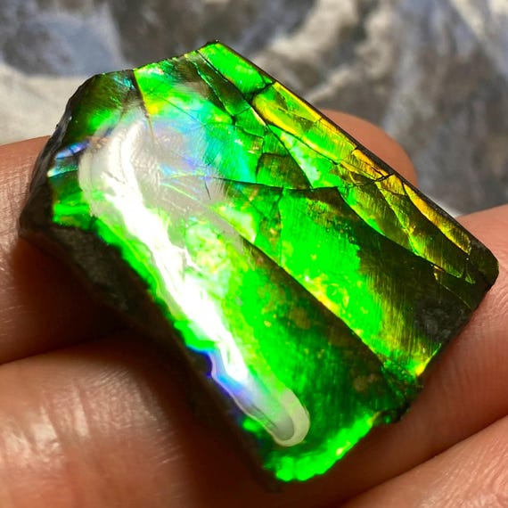 アンモライト宝石 – カナダ産天然化石宝石 カナダ産アンモナイト自由形