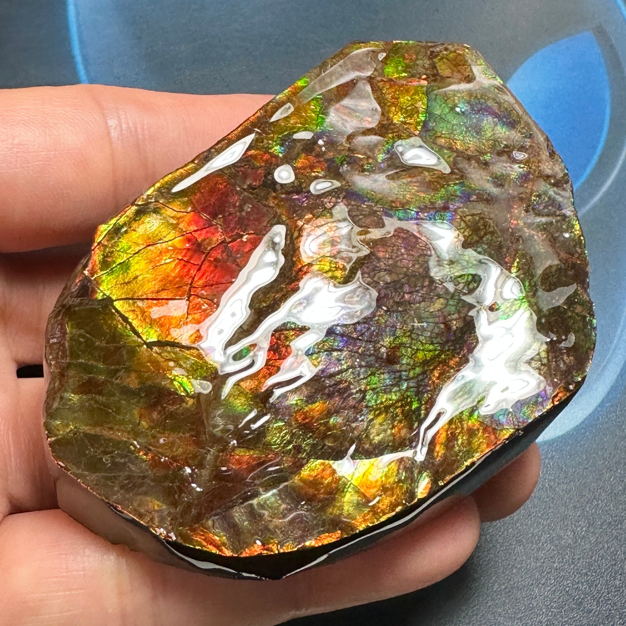 カナダ産アンモライト アンモナイト 両面標本 美品 78X50X42 mm 201