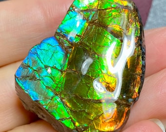 May include: A polished piece of ammolite gemstone featuring a vibrant, iridescent surface with a mosaic pattern of bright green, blue, and orange hues. The stone has a cracked, textured appearance with deep fissures and a glossy, reflective finish.