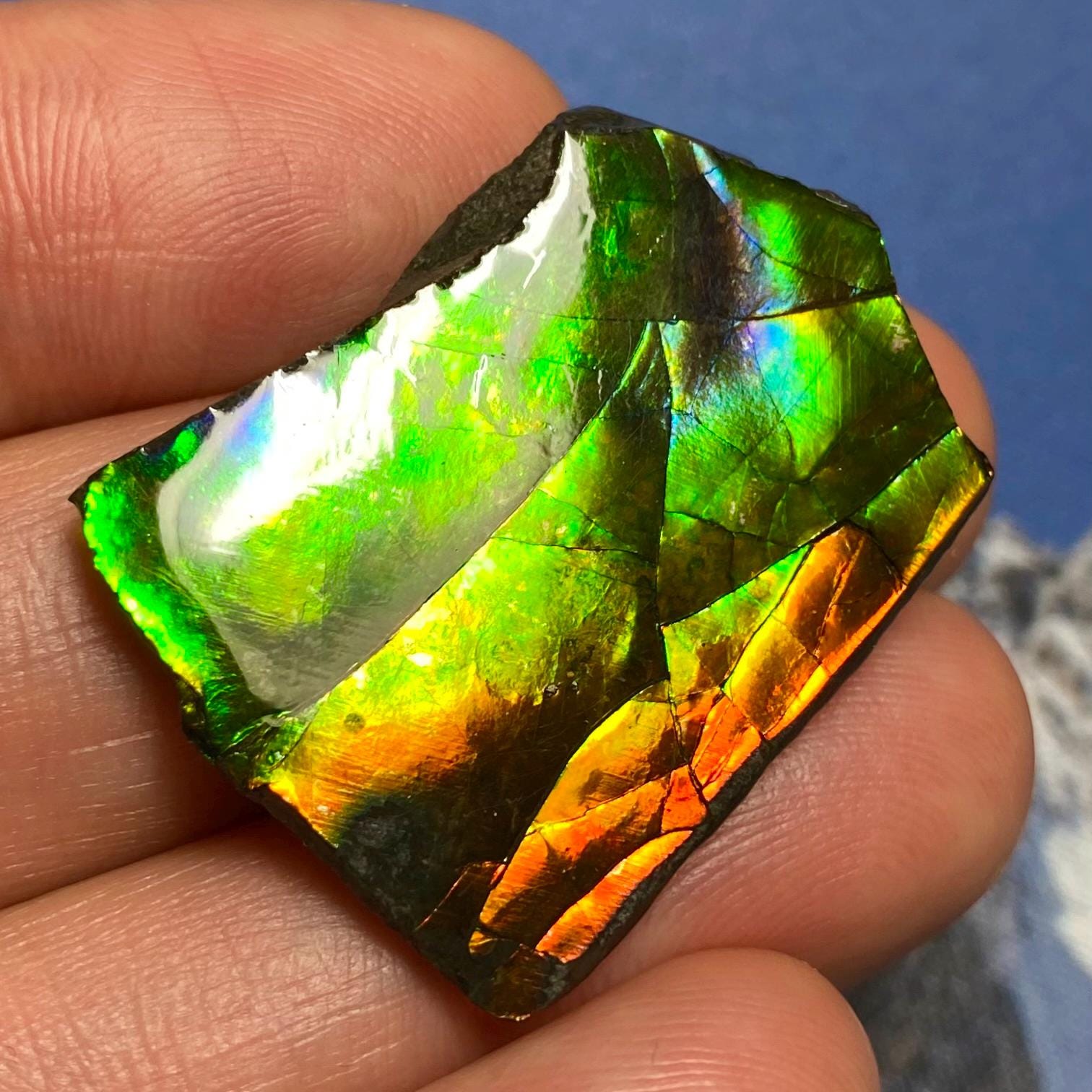 アンモライト宝石 – カナダ産天然化石宝石 カナダ産アンモナイト自由形